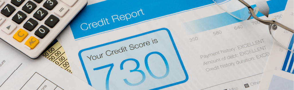 Rockland Trust article on building a healthy credit history.