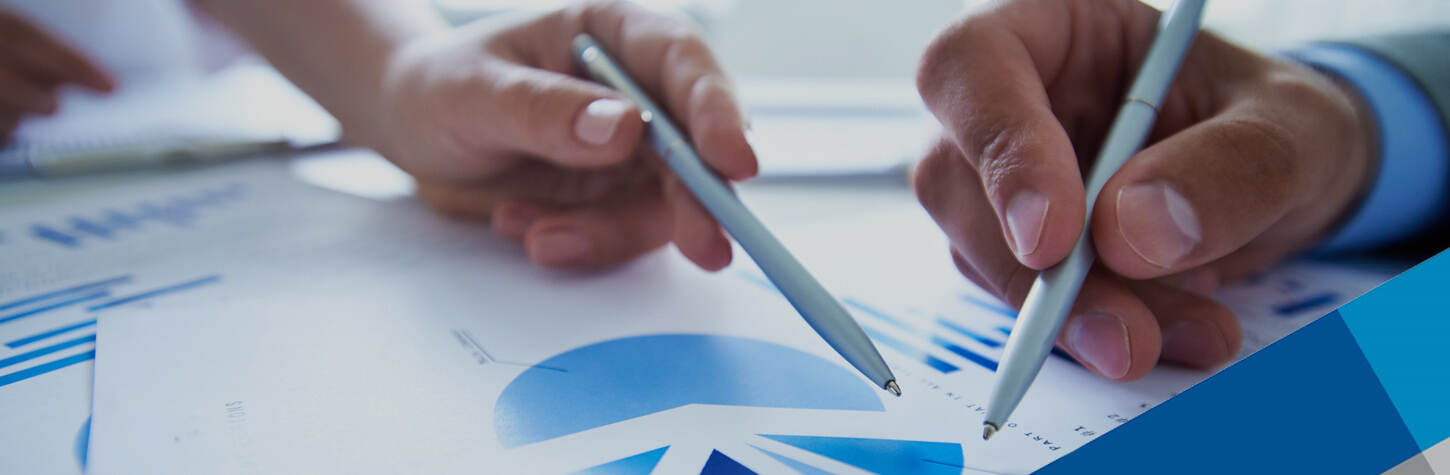 financial advisors reviewing pie charts