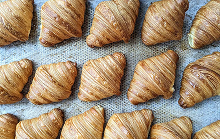 3 rows of chocolate croissants baked by Michette.